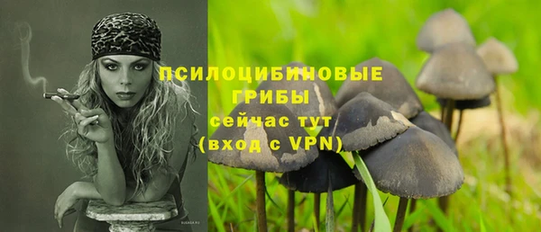 стафф Лабытнанги