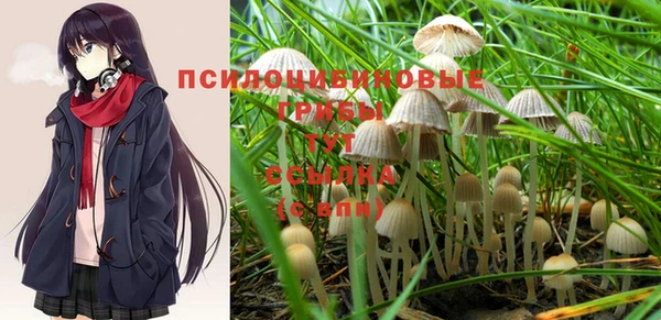 МДПВ Ладушкин