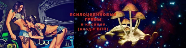 МДПВ Ладушкин