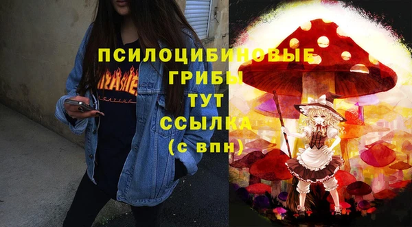 стафф Лабытнанги